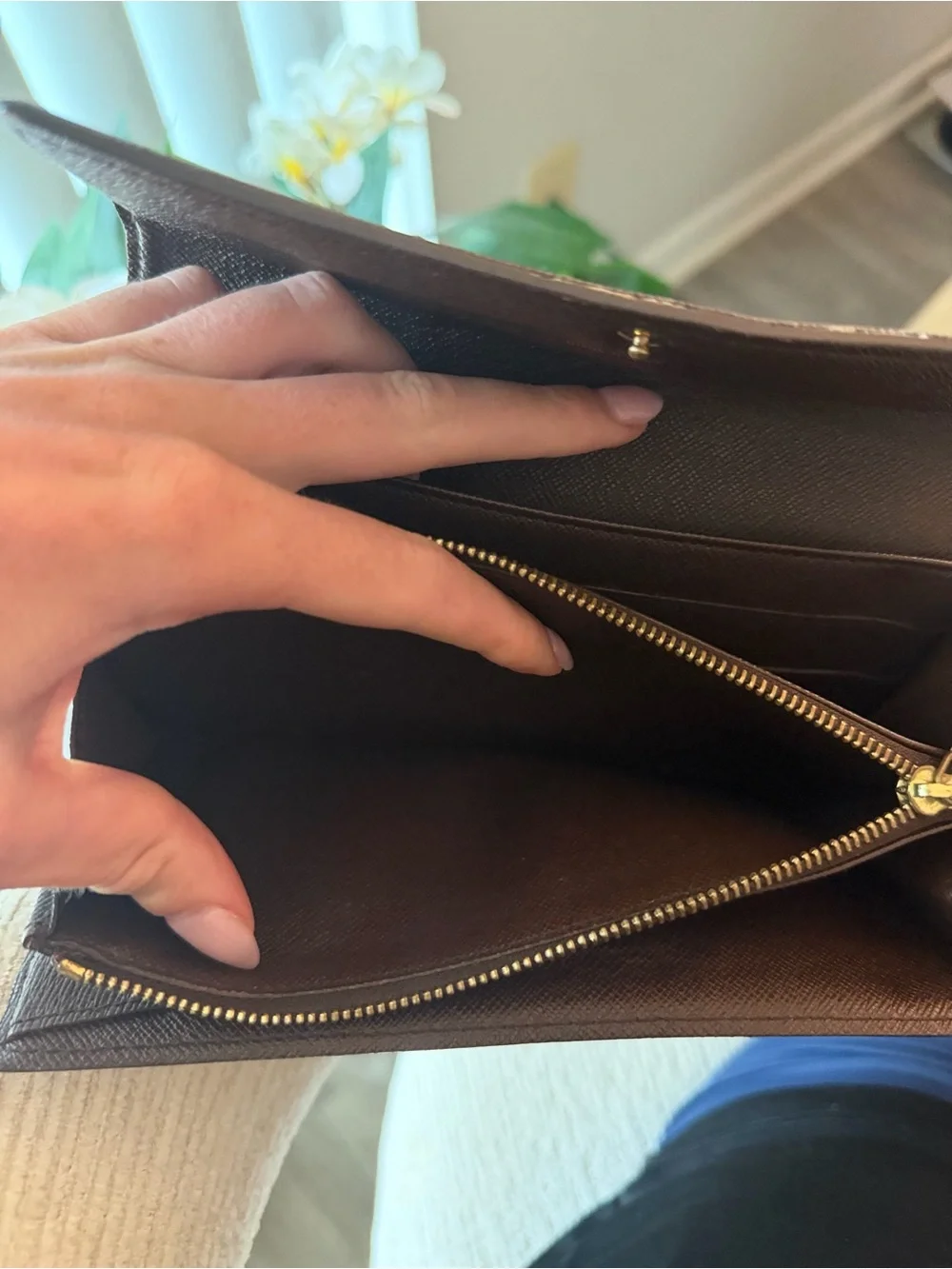 Louis Vuitton Epene Damier Women's Wallet Clutch